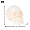 Small Cast Iron Skull Figurine or Paperweight
