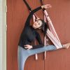 Flexible Gym Hanging Inversion Swing Aerial Yoga Hammock Stretcher Band Belt - Purple