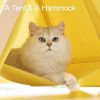 Mewoofun Pet Portable Folding Tent Cat Hammock House Easy Assembly for Dog Cat - yellow